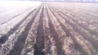 Агрегат смугового обробітку грунту під технологію strip-till частина 2