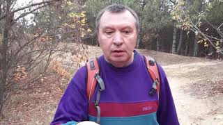 1 ноября 2018 года в лесу под Одессой. Грибов нет.