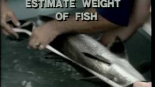 Induced Spawning of Fish