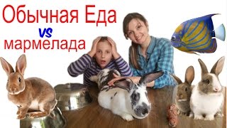 Обычная Еда против Мармелада Челлендж! Ира ПЛАЧЕТ!Real Food vs Gummy Food - Candy Challenge