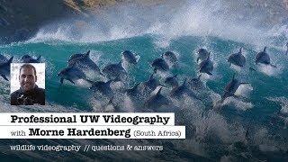 PROFESSIONAL UW VIDEOGRAPHY with Morne Hardenberg