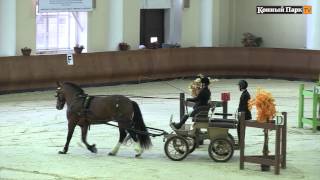 Зимний кубок НКП «Русь» по драйвингу. 5 этап. Финал.