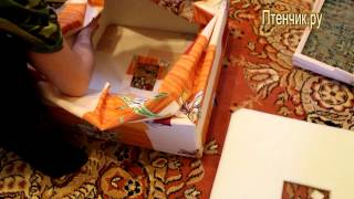 Видео инструкция по сборке и эксплуатации инкубатора Пушок