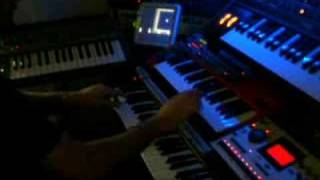 "Flying" Gattobus LIVE Experiment