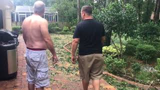 (1257) ПОСЛЕ УРАГАНА ИРМА В ГОРОДЕ ДИЛЕНДЕ ШТАТА ФЛОРИДА