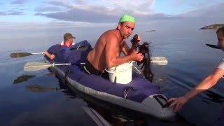 8 - я серия. Белое море - Лоухи. Последний день похода... travels
