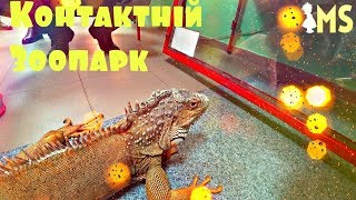 Контактный зоопарк для детей. Кормим, гладим, играем с животными