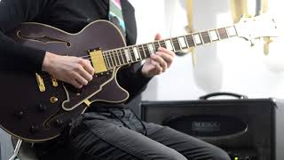 That Amp that's in all my videos || Mesa Boogie Electra Dyne || D'Angelico Deluxe SS