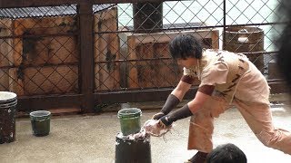 【男はテクニック】ウォーター・ワールド 最終日 2回目 13:30 前座 / USJ WATER WORLD Last day 20180108
