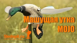 Обзор машущей крыльями чучела утки MOJO