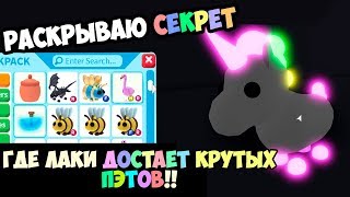 Раскрываю СЕКРЕТ!!! Где Лайк Настя достает крутых питомцев в адопт ми в роблокс