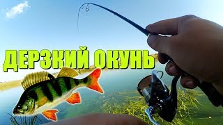 ОКУНЬ ЖРЁТ резину ручной работы на каждой проводке! Микро-джиг на водохранилище!