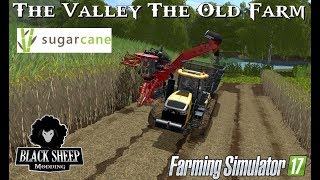 FS17 The Valley The Old Farm Test SugarCane