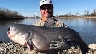 January Blue Catfish / Missouri River / Kansas USA