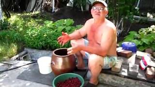 Снимали видео про Вино из черешни, а получился шум, гул и много ля - ля