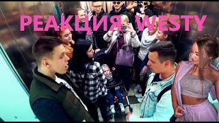 реакция WESTY на ролик МАЦОНИ