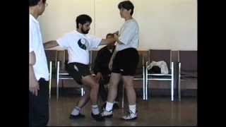 Tuishou Exercise 2 - Yangjia Michuan Taijiquan
