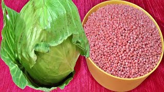 বাড়িতে মাছ মাংস না থাকলে বাঁধাকপি ও মুসুর ডালের এই রেসিপি বানিয়ে সবাই কে চমকে  দিন /Cabbage Daal