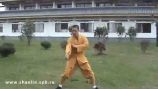 Монах монастыря Шаолинь Ши Ян Тхи. Видео 2