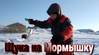 Рыбалка 2020 ЩУКА на МОРМЫШКУ в ГЛУХОЗИМЬЕ.