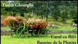 Tudor Gheorghe - Carul cu flori, Busuioc de la Plenița, La casa cu trestioară