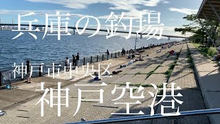 【釣場紹介】兵庫の釣場「神戸空港」神戸市中央区[Introduction of fishing grounds] Hyogo fishing ground "Kobe Airport"