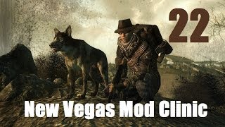 Fallout New Vegas Mod Clinic #22 : The Courier's Cache