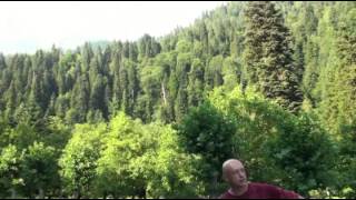 Путешествие в Абхазию с Вадимом Старовым ( озеро Рица, дача Сталина)