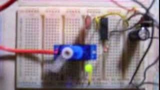Hexa Runner Video 1 (Servo Motor)