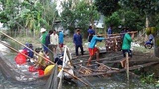 Cần Thơ đẩy mạnh phát triển kinh tế hợp tác xã trong lĩnh vực nông nghiệp, nông thôn
