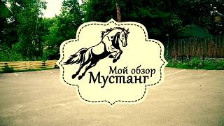 База отдыха Мустанг. Мой обзор. 2017