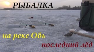 Рыбалка, обь, последний лёд, весенняя рыбалка на плотву. (Рыбалка 29 марта 2016)