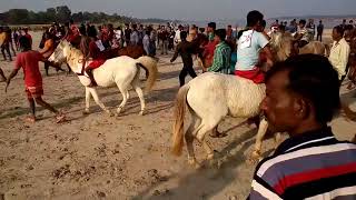 দেখুন,ঐতিহ্যবাহী ঘোড়ার দৌড় | Horse Riding Video