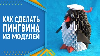 Как сделать пингвина 3D оригами. Модульное оригами. Пингвин оригами