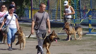 ТНМ - сюжет - Виставка собак 21.05.2017