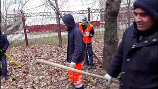 ГБУ Жилищник Чертаново Южное за работой....