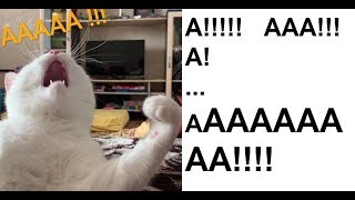 ААААааааааааааааааа!!!! аааааааа!! ааааа!!! ААААААААА!!!