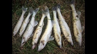 СУПЕР рыбалка Часть 1 " Яузское водохранилище 20.10.2018  "