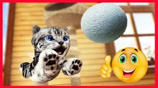Котенок СИМУЛЯТОР мимимишки веселое РАЗВЛЕКАТЕЛЬНОЕ ВИДЕО для детей Мой Маленький котик#KGSTV