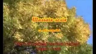 ДУЕТ "ЧЕРВОНЕ ТА ЧОРНЕ" - ШАЛЬВІЯ-ЛЕЛІЯ (караоке)