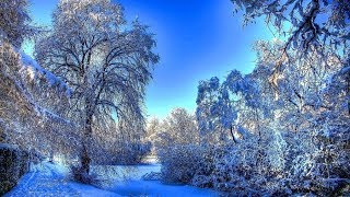 Dmitry Metlitsky & Orchestra! Очень красивая сказочная музыка!!! Красивые зимние пейзажи