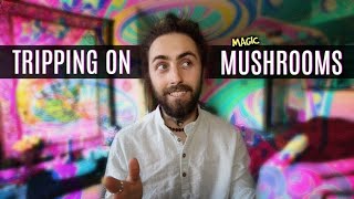 Magic Mushrooms! (A Guide to Tripping)