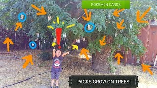 POKEMON CARDS GROW ON THIS TREE!! We Found A Hidden Wonder!! MOST Craziest Video You Will Ever See!!