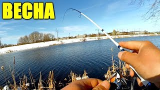 ВЕСЕННИЙ СПИННИНГ! И такое бывает - МИКРУХА проиграла...(ВИДЕО-ОТЧЁТ)