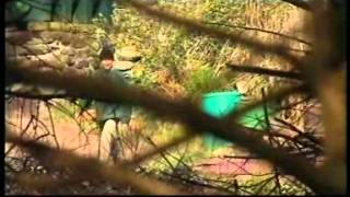SAS Survival Secrets - Behind enemy lines - Episode 1