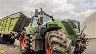 Fendt 828 Vario /5 Trecker - Biggest-Silieren & verdichten 2019