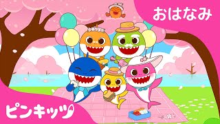 おはなみのうた???? | サメのかぞく | 春がきたよ！ちびザメとお花見にいこう | 童謡 | 子供の動画 | ピンキッツ！