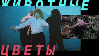 «тело театра / ян фабр» |видеоэссе|