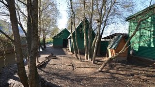 Содержание птицы в Фермерском хозяйстве Крыловых