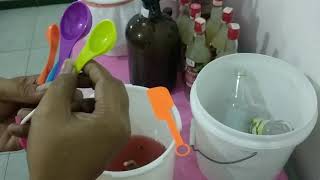 Belajar (lagi) bikin wine anggur merah